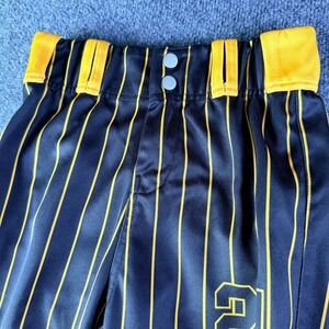 Prolook Brawlers 11u Baseball Pants Youth 24x17 Black Striped Knicker Length #21